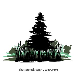 Tree in swamp. Coniferous plant pine. Landscape with trees and grass. Silhouette picture. Isolated on white background. Vector