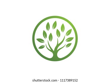 Tree Symbol Icon Logo Design Template Stock Vector (Royalty Free ...