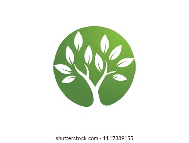 tree symbol and  icon logo design template