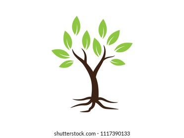 tree symbol and  icon logo design template