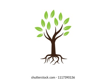 Mangrove Tree Logo Vector Circle Shape Stock Vector (Royalty Free ...