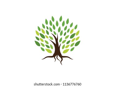 Tree Symbol Icon Logo Design Template Stock Vector (royalty Free 