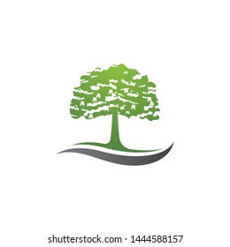 Tree symbol vector icon illustration