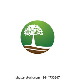Tree symbol vector icon illustration