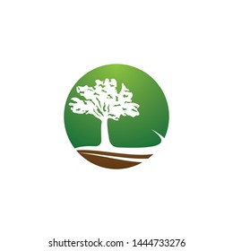Tree symbol vector icon illustration