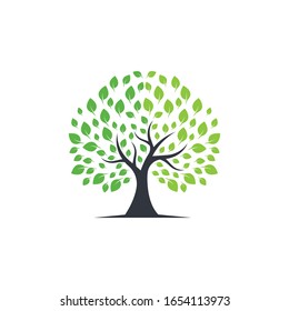 Tree symbol vector icon illustration