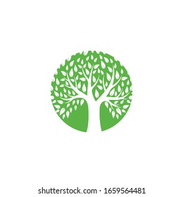 Baum Symbol Vektorillustration Symbol Illustration Design