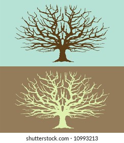 Tree Symmetree