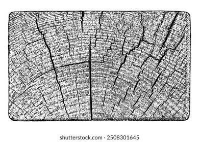 Tree texture on white background. Distressed wood overlay textured. Old wooden design element. Cross section tree rings cut slice. Vector illustration. EPS 10.