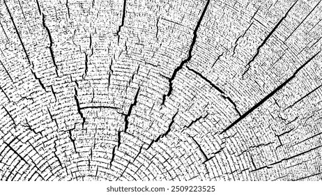 Textura da árvore em fundo branco. Sobreposição de madeira angustiada texturizada. Elemento de madeira velho do projeto. Anéis de árvore de seção transversal corte fatia. Ilustração vetorial. EPS 10.