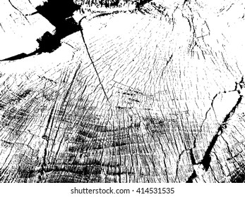 Tree Texture.Tree Background.Tree Effect.Tree Overlay.Grunge Black and White Distress Texture . Scratch Texture . Dirty Texture . Wall Background .Vector Illustration. 