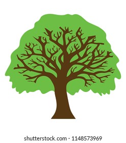 
Tree that belongs to beach family structured in an icon for oak tree 
