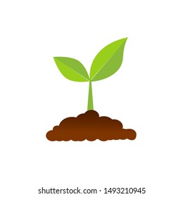 The tree that grows from seed is a big tree with green color and the seedlings grow into a big tree. Vector illustration - Shutterstock ID 1493210945