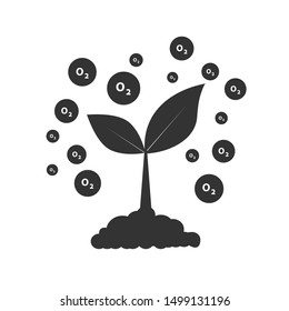 The tree that grows from seed is a big tree with green color and the seedlings grow into a big tree. Oxygen release illustration