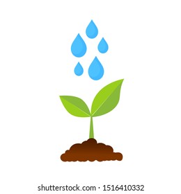 The tree that grows from seed is a big tree with green color and the seedlings grow into a big tree, raindrops are falling. The tree is growing. Vector illustration