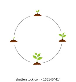 The tree that grows from seed is a big tree with green color and the seedlings grow into a big tree. Vector illustration