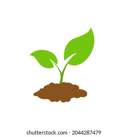 The tree that grows from seed is a big tree with green color and the seedlings grow into a big tree. Vector illustration - Shutterstock ID 2044287479