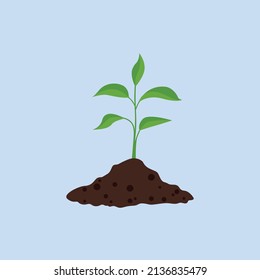 El árbol que crece a partir de la semilla es un gran árbol de color verde y las plántulas se convierten en un gran árbol. Ilustración del vector