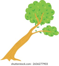 a tree that grows sideways