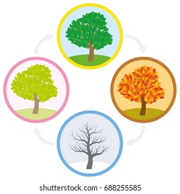 Tree throughout the course of a year with different foliage in typical colors and shades - spring, summer, autumn and winter arranged in a circle. Vector illustration.