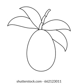 Tree tomato fruit