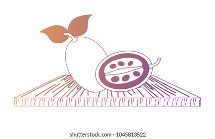 tree tomato fruit icon