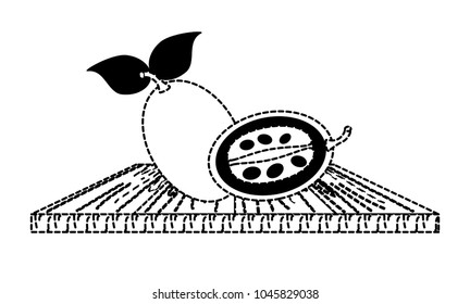 tree tomato fruit icon