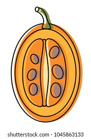 tree tomato fruit icon 