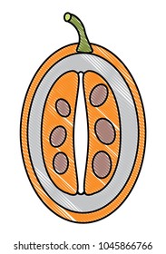 tree tomato fruit icon 