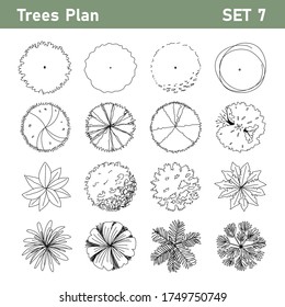 Tree Top Tree Plan Free Hand Stock Vector (Royalty Free) 1745545388