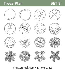 Tree top, tree plan - free hand drawn doodle top view trees for landscape  plan. Can change the stroke line