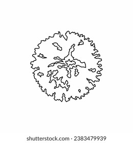 tree top view, tree 2 dimension, tree architectural