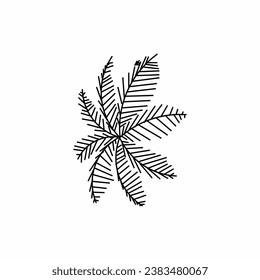 tree top view, tree 2 dimension, tree architectural