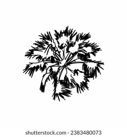 tree top view, tree 2 dimension, tree architectural
