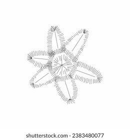 tree top view, tree 2 dimension, tree architectural