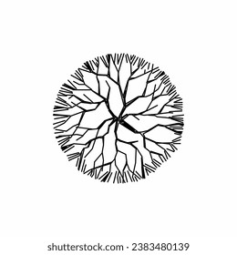 tree top view, tree 2 dimension, tree architectural