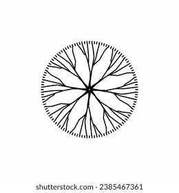 tree top view, tree 2 dimension, tree architectural