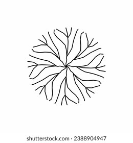 vista superior de árbol, dimensión de árbol 2, arquitectura de árbol