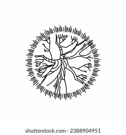 tree top view, tree 2 dimension, tree architectural