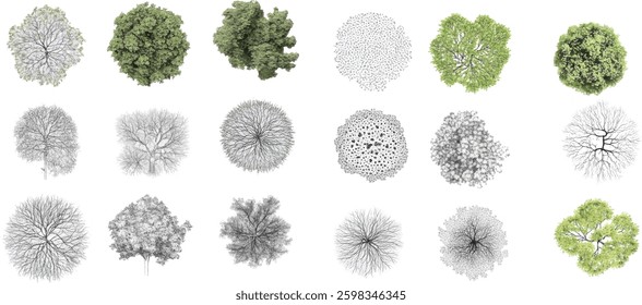 Tree Top View Collection, Vector Illustration Isolated on White Background