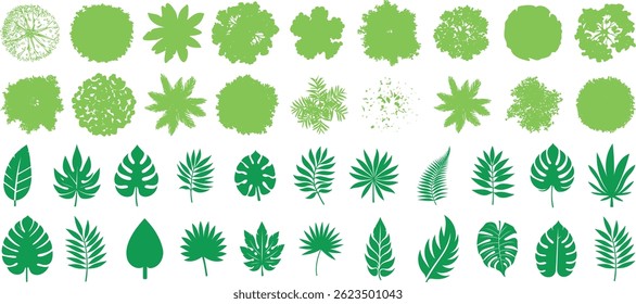 Tree top view, foliage, and tropical leaves vector set perfect for landscape design, botanical illustration, or eco projects. Includes diverse tree canopy shapes, jungle leaves, and tropical plant
