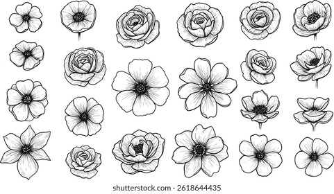 Conjunto de ilustrações da arte da linha da vista superior da árvore com diversas formas de árvore desenhadas à mão. 