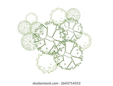 tree top view plant landscape architecture nature garden aerial vector. trees branch isolate collection illustration environment green botany urban bush park. tree architecture conifer decorative.