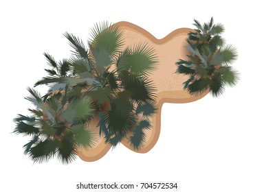 tree top view from realistic