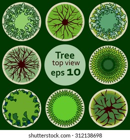 Tree Top View set. Floral vector patterns. Green. Backgrounds & textures shop.