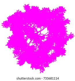 tree top view silhouette isolated - purple - vector illustration