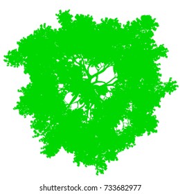 tree top view silhouette isolated - green - vector illustration