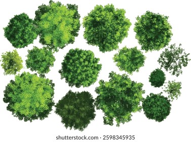 Tree Top View Vector Set, Isolated on White Background.