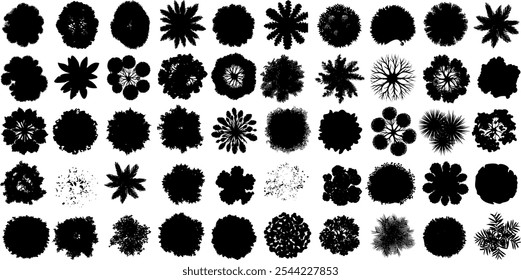 Colección de silueta de Vector de vista superior de árbol en varios estilos. La copa de árbol perfecta para Planes arquitectónicos, diseño paisajístico y presentación ambiental, que ofrece diversas Formas de dosel de árboles