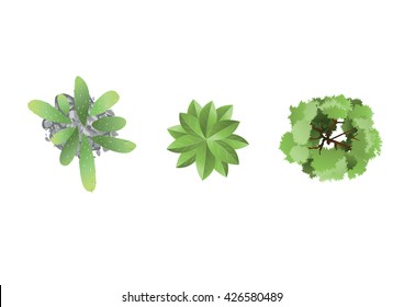 Tree top view  white background vector illustration set for park and garden design 